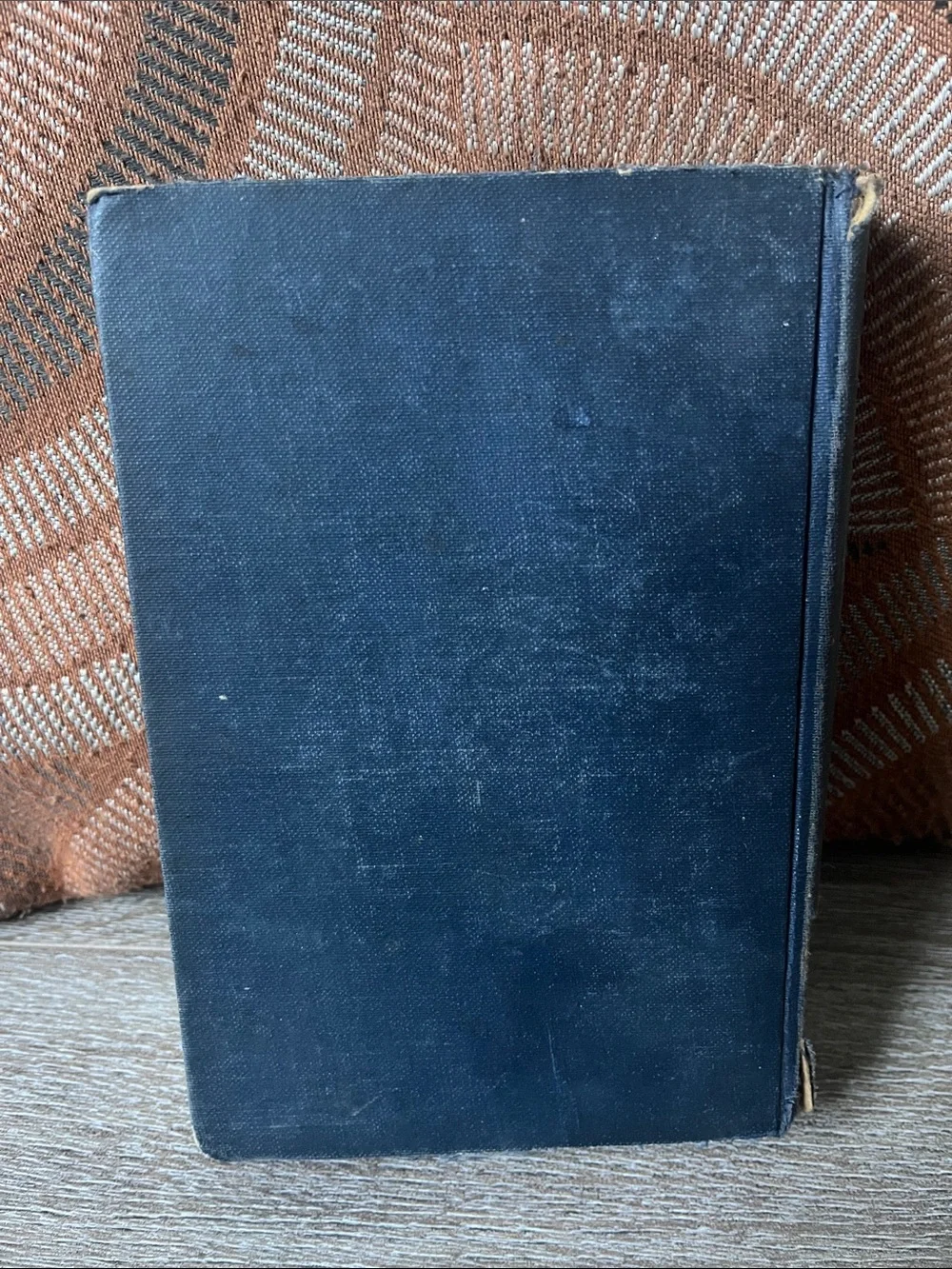 Wild Horse Mesa by Zane Grey 1924